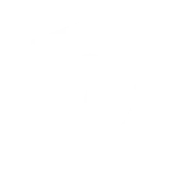 Empty major tree Empty rune.